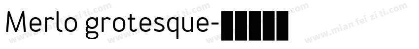 Merlo grotesque字体转换